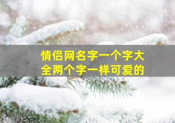 情侣网名字一个字大全两个字一样可爱的