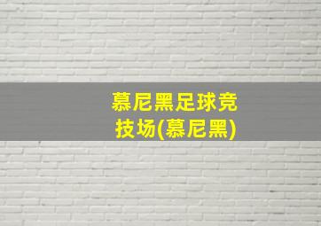 慕尼黑足球竞技场(慕尼黑)