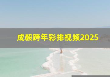 成毅跨年彩排视频2025