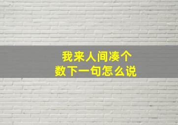 我来人间凑个数下一句怎么说