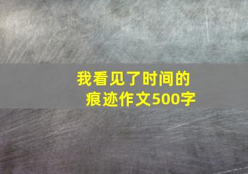 我看见了时间的痕迹作文500字