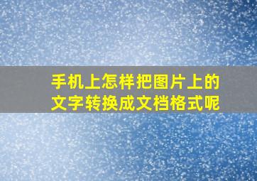 手机上怎样把图片上的文字转换成文档格式呢