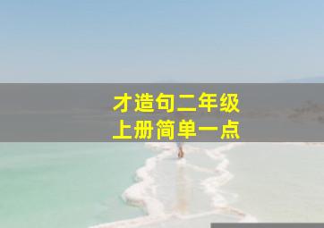 才造句二年级上册简单一点