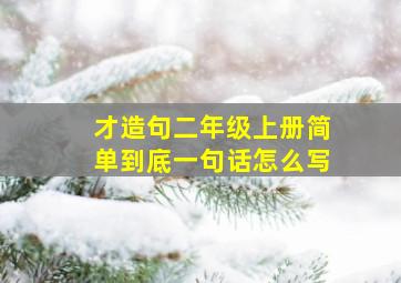 才造句二年级上册简单到底一句话怎么写