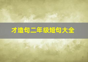 才造句二年级短句大全