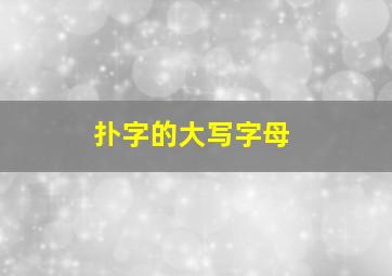 扑字的大写字母