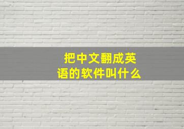 把中文翻成英语的软件叫什么