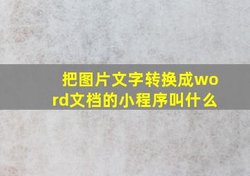 把图片文字转换成word文档的小程序叫什么