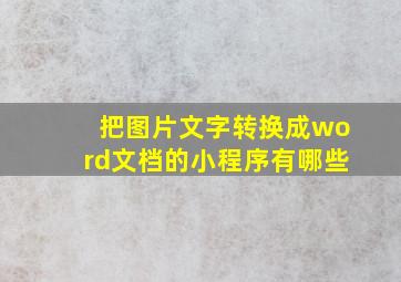 把图片文字转换成word文档的小程序有哪些