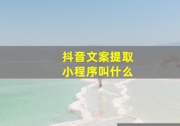 抖音文案提取小程序叫什么