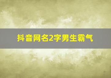 抖音网名2字男生霸气