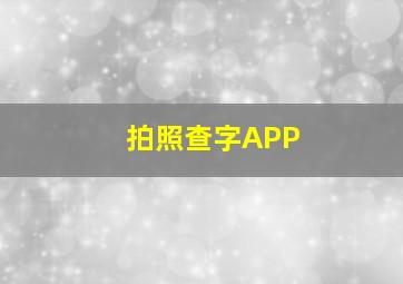 拍照查字APP