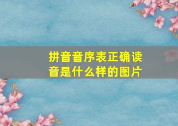 拼音音序表正确读音是什么样的图片