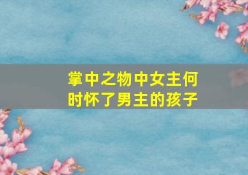 掌中之物中女主何时怀了男主的孩子