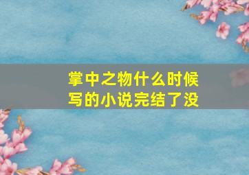 掌中之物什么时候写的小说完结了没