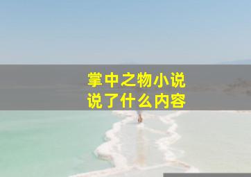 掌中之物小说说了什么内容