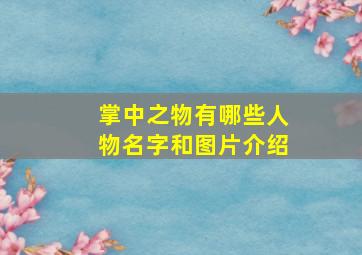 掌中之物有哪些人物名字和图片介绍