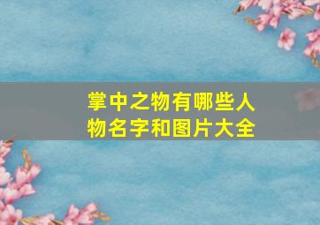 掌中之物有哪些人物名字和图片大全