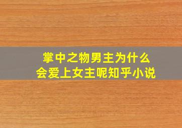 掌中之物男主为什么会爱上女主呢知乎小说