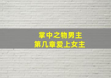 掌中之物男主第几章爱上女主