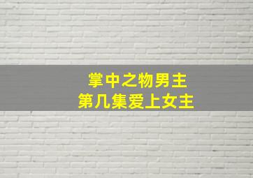 掌中之物男主第几集爱上女主