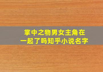 掌中之物男女主角在一起了吗知乎小说名字