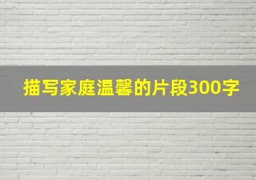 描写家庭温馨的片段300字