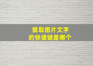 提取图片文字的快捷键是哪个