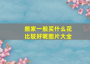 搬家一般买什么花比较好呢图片大全