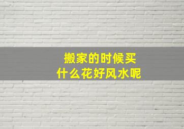 搬家的时候买什么花好风水呢