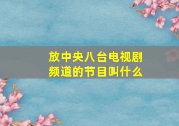 放中央八台电视剧频道的节目叫什么