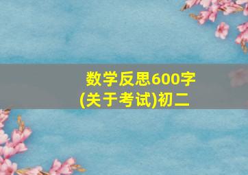 数学反思600字(关于考试)初二