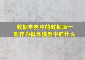 数据字典中的数据项一般作为概念模型中的什么