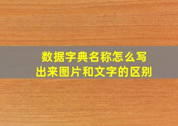 数据字典名称怎么写出来图片和文字的区别