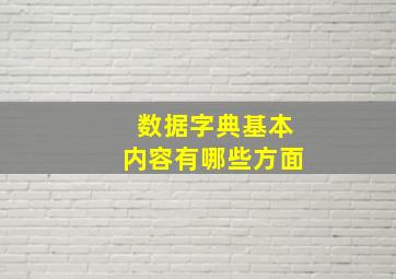 数据字典基本内容有哪些方面