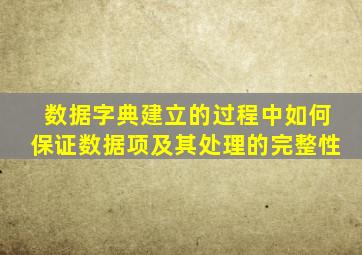 数据字典建立的过程中如何保证数据项及其处理的完整性