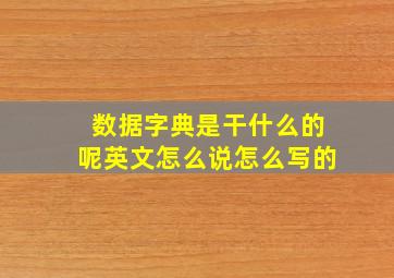 数据字典是干什么的呢英文怎么说怎么写的