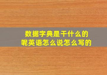 数据字典是干什么的呢英语怎么说怎么写的