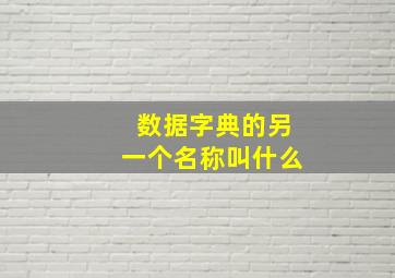 数据字典的另一个名称叫什么