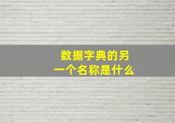 数据字典的另一个名称是什么