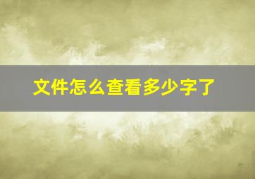 文件怎么查看多少字了