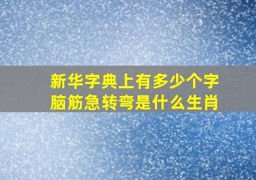 新华字典上有多少个字脑筋急转弯是什么生肖