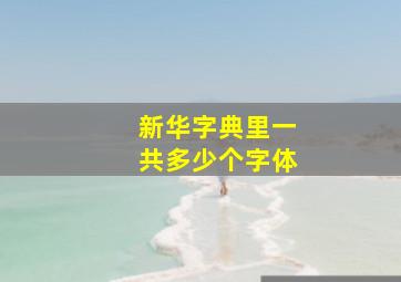 新华字典里一共多少个字体