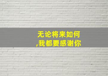 无论将来如何,我都要感谢你