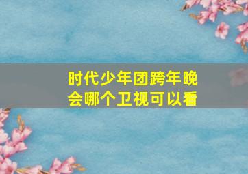 时代少年团跨年晚会哪个卫视可以看