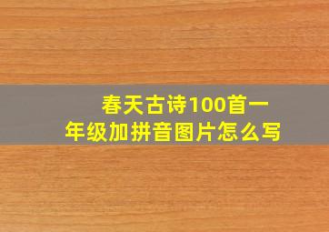 春天古诗100首一年级加拼音图片怎么写