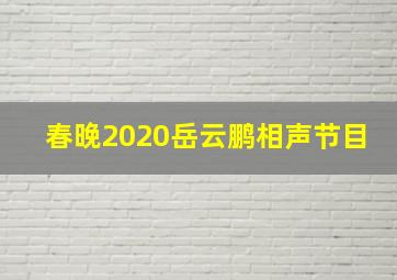 春晚2020岳云鹏相声节目