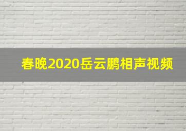 春晚2020岳云鹏相声视频