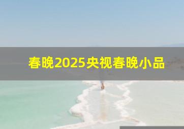 春晚2025央视春晚小品