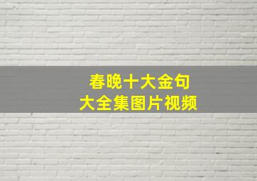 春晚十大金句大全集图片视频